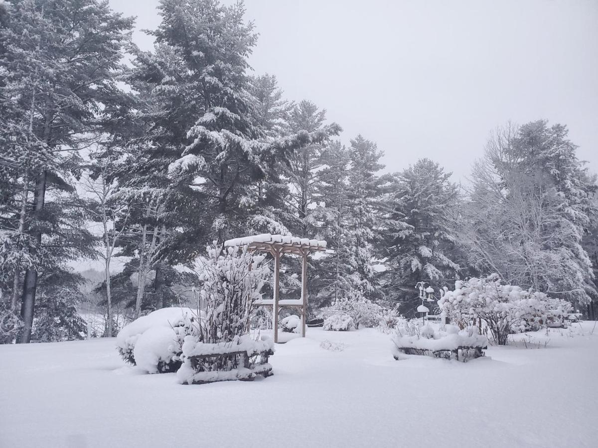Spring Lake Resort Dwight Kültér fotó
